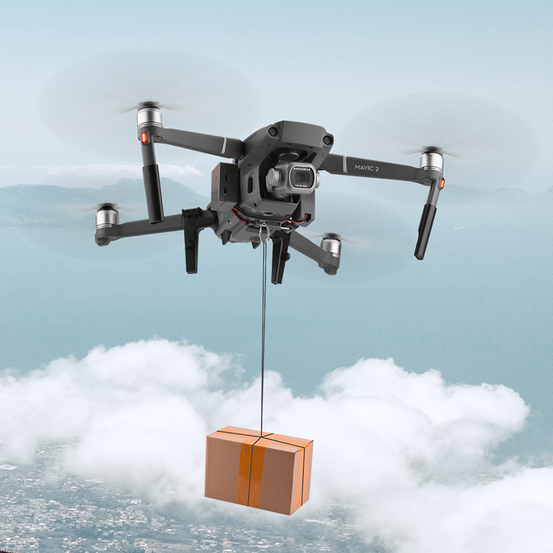 DJI Mavic 2 Pro/Zoom Drone Rin - Drone Dji Rc 2 리뷰 및 가격
