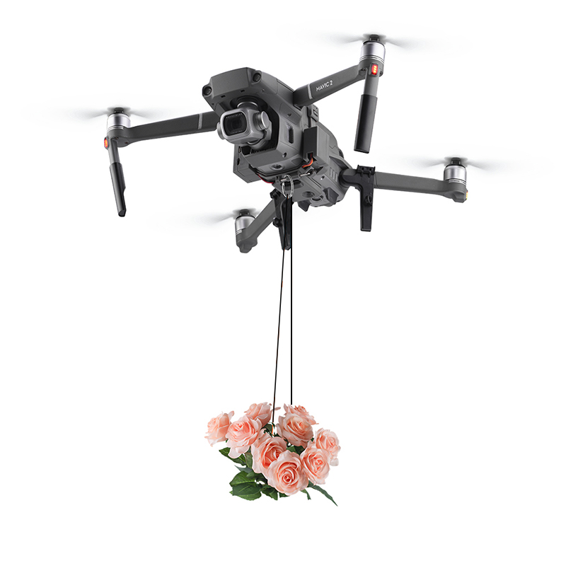 DJI Mavic 2 Pro/Zoom Drone Rin - Drone Dji Rc 2 리뷰 및 가격